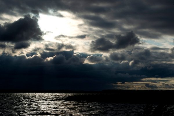 Фотовиставка Ольги Кошелєвої