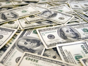 Пенсіонерка з Луцька випадково викинула на смітник понад дві тисячі доларів