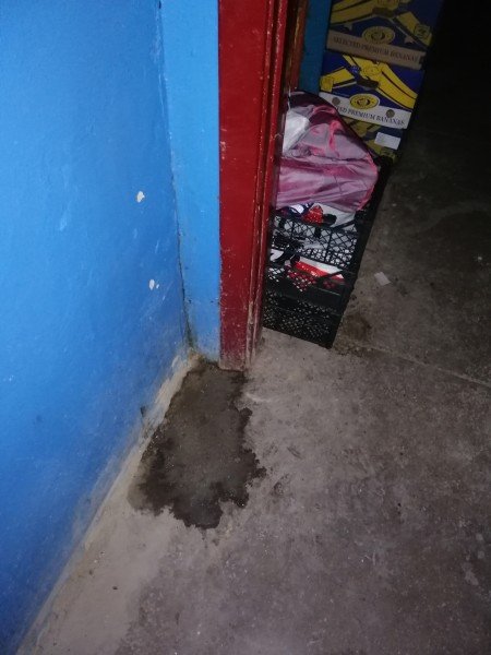 Сморід та сміття в квартирі аж до стелі: лучани нарікають на проблемну сусідку. ФОТО