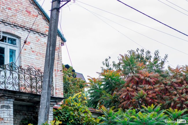 Жовто-багряний настрій: Луцьк на осінніх світлинах