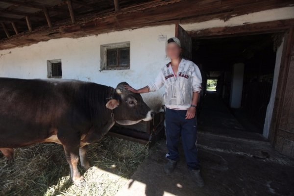 Дітей з мукачівського інтернату використовують як дармову робочу силу. ФОТО