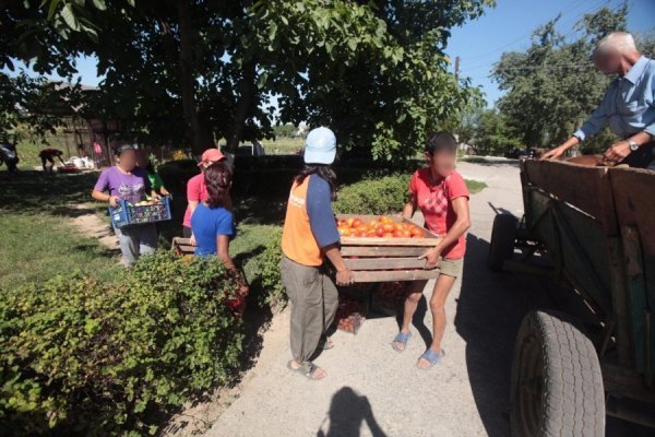 Дітей з мукачівського інтернату використовують як дармову робочу силу. ФОТО