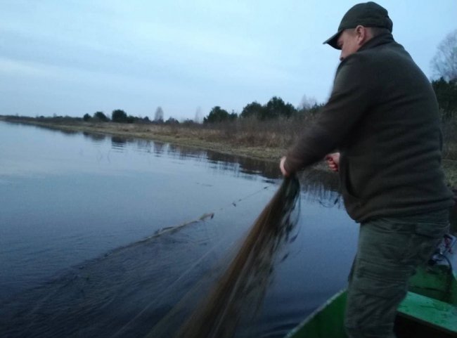 На волинському озері екоінспектори врятували птаха з браконьєрських сіток 