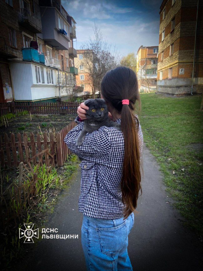 Бійцям ДСНС довелося рятувати львів’янку, яка хотіла допомогти котику