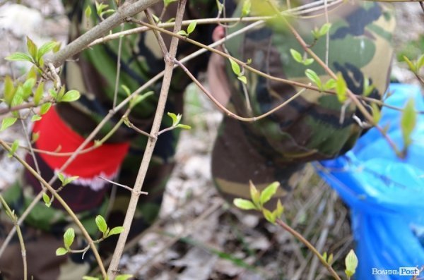 У Луцьку прибирали парк в 40-му кварталі. ФОТО