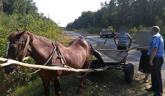 У Ківерцівському районі викрили крадіїв лісу. ФОТО