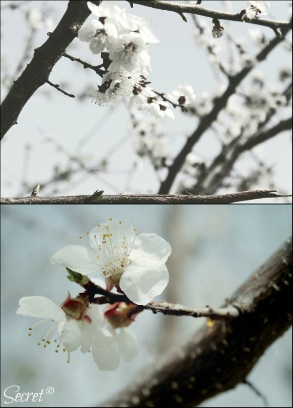 Фотовиставка Олександри Містюк