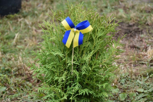 Луцькі дошкільнята перевтілились у козаків. ФОТО