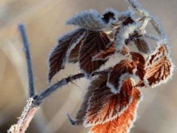 Яке свято 10 січня та що не можна робити в цей день 