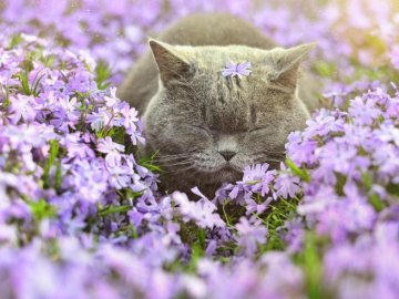 Погода у Луцьку на завтра, 16 травня