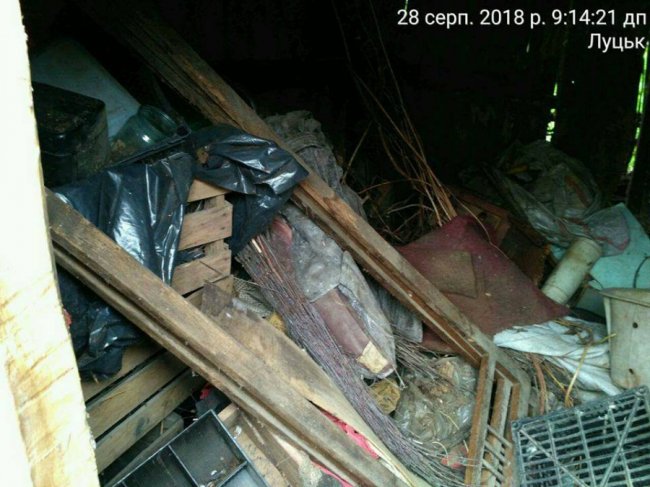 Луцькі муніципали знесли сараї-розвалюхи. ФОТО