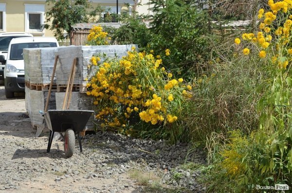 Скандальну ділянку в старому місті скоро почнуть забудовувати. ФОТО