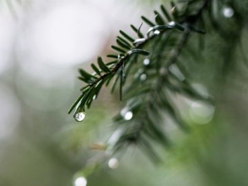 Погода в Луцьку та Волинській області на п’ятницю, 28 лютого