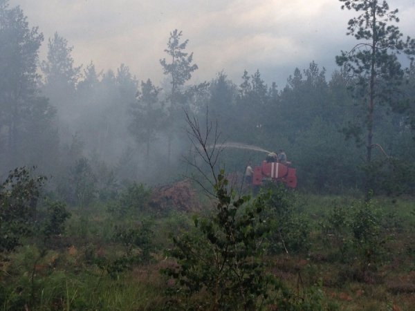 На українсько-білоруському кордоні горіла лісова місцевість. ФОТО