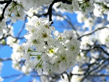 Погода в Луцьку та Волинській області на п’ятницю, 3 травня