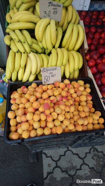 Від і до: скільки коштують перші абрикоси на луцькому ринку. ФОТО