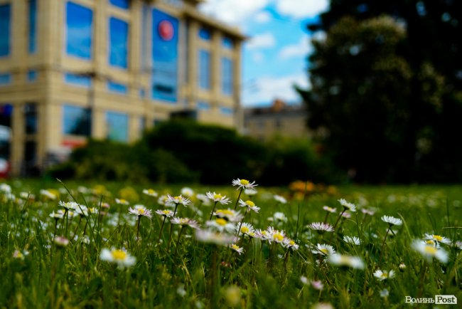 День захисту дітей і початок літа: як святкували у Луцьку. ФОТОРЕПОРТАЖ