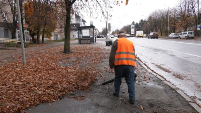 Десятки тонн: що роблять із опалим листям у Луцьку