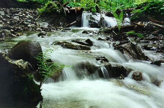 Неймовірна природа — гордість нашої країни. ФОТО