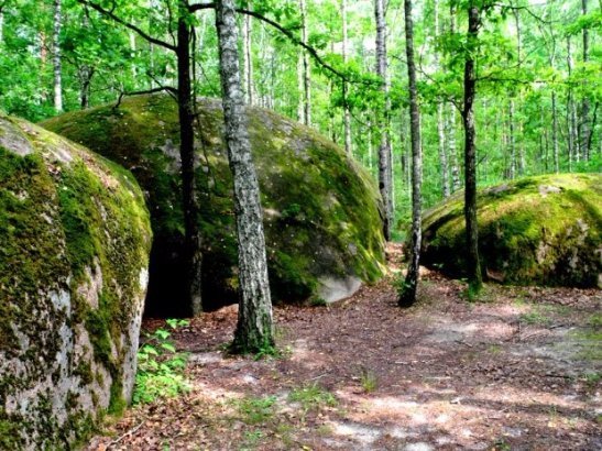 Неймовірна природа — гордість нашої країни. ФОТО