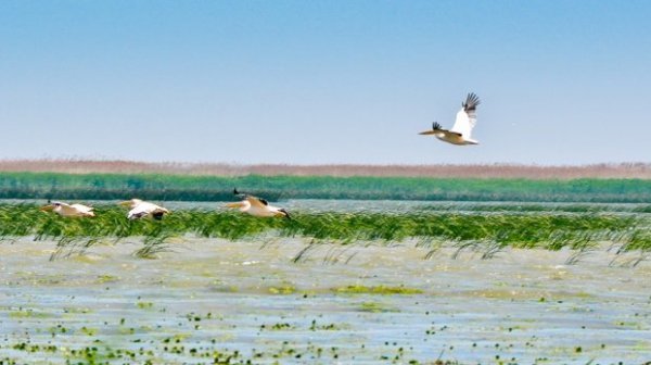 Неймовірна природа — гордість нашої країни. ФОТО