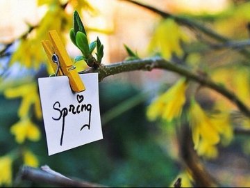 Синоптики розповіли, коли в Україні потеплішає