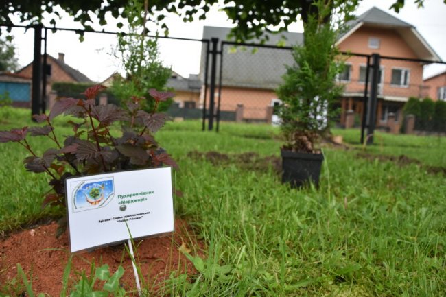 Вихованці луцького дитсадка тепер мають свій «Казковий світ рослин». ФОТО