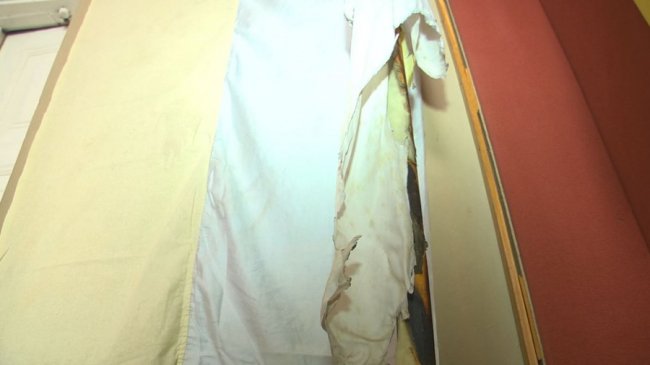 У Луцьку презентували виставку прапорів: найстарішому – 80 років. ФОТО. ВІДЕО