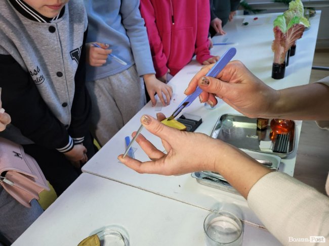 Лего-сумо та світ під мікроскопом: для діток переселенців та військових провели майстер-класи