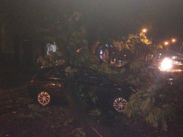 Ураган в Одесі. ФОТО. ВІДЕО