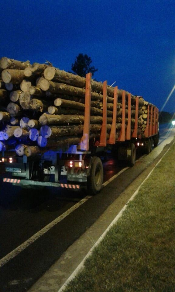 На околиці Луцька затримали фуру з деревиною. ФОТО