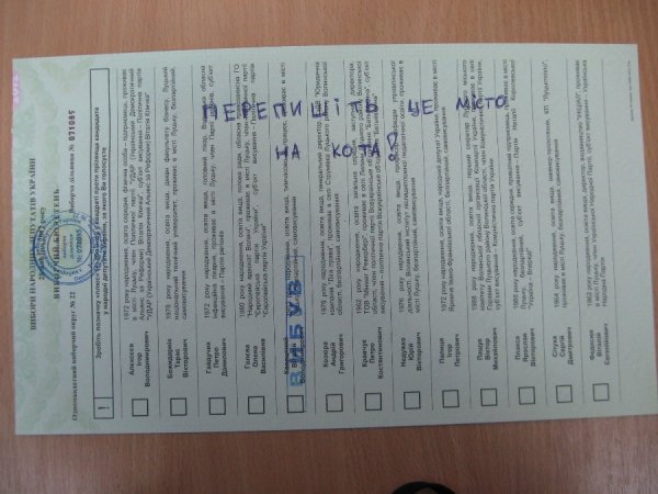 У Луцьку просять «переписати місто на кота». ФОТО