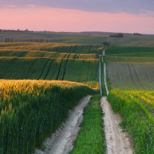 Волинський депутат показав красу нашого краю. ФОТО