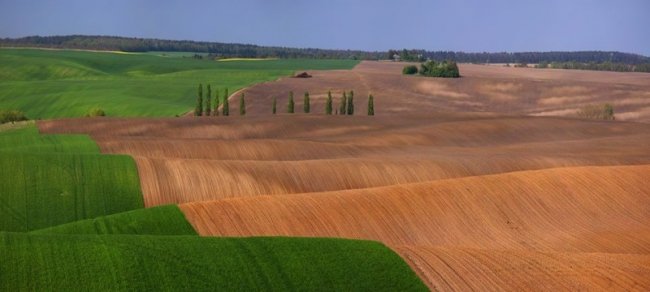 Волинський депутат показав красу нашого краю. ФОТО