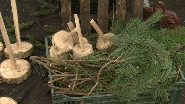 У селі під Луцьком родина майструє новорічних красунь з гілок хвойних дерев. ФОТО