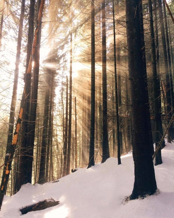 Іnstagram: вражаючі світлини карпатських гір