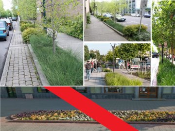 Лучани просять осучаснити дизайн клумб у місті