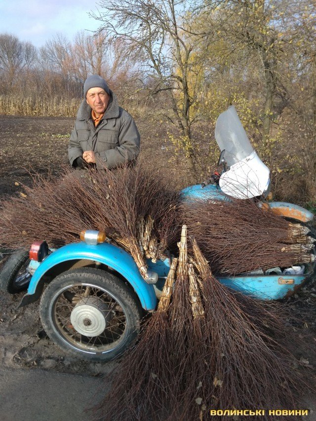 «До пенсії додали аж 5 гривень»: як заробляють на ринку волинські пенсіонери