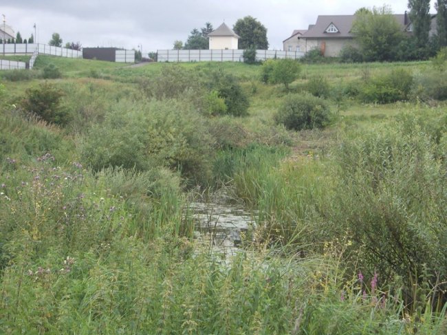 На Волині із занедбаного торф’яника роблять рекреаційний комплекс «Атошник». ФОТО, ВІДЕО 