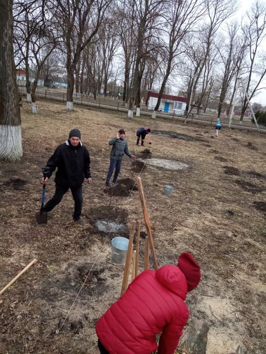 На Волині старшокласники висадили фруктовий сад на шкільному подвір'ї. ФОТО