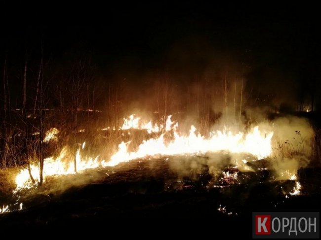 Вогонь наблизився майже до заправки: у Любомльському районі гасили пожежу трави. ФОТО