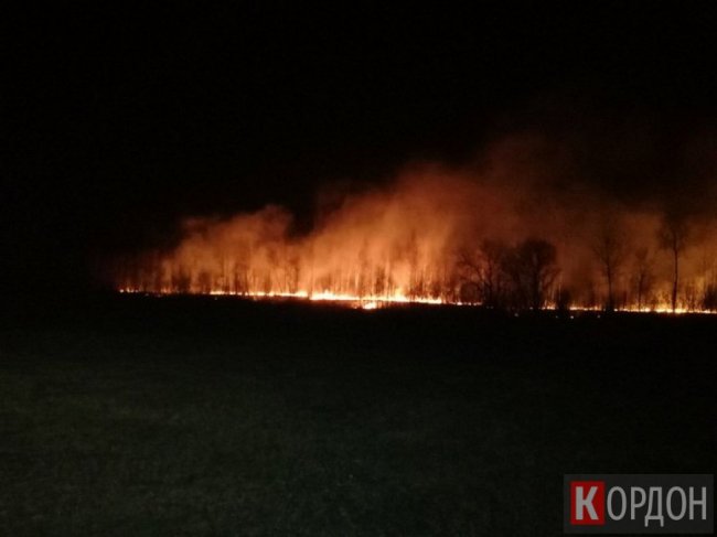 Вогонь наблизився майже до заправки: у Любомльському районі гасили пожежу трави. ФОТО