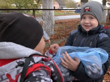 На Волині школярі збирали каштани на пам’ятник воїнам АТО/ООС.ФОТО.ВІДЕО