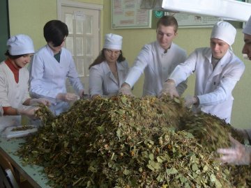 Луцькі медики заготували для воїнів трав’яні чаї та цілющі мазі