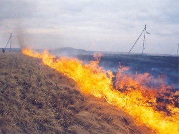 Через спалювання сухої трави на Волині горіли два погреби