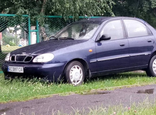«Що з таким піндосом можна зробити?»: у Луцьку біля школи зловили автоандона
