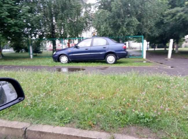 «Що з таким піндосом можна зробити?»: у Луцьку біля школи зловили автоандона