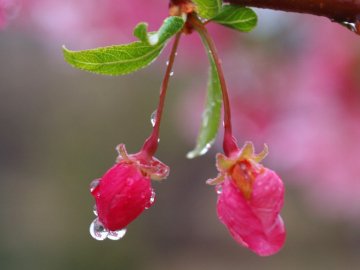 В Україну прийде похолодання