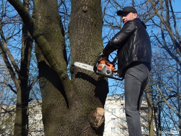 У Луцьку депутати, підприємці та школярі прибирали парк у мікрорайоні ЛПЗ. ФОТО