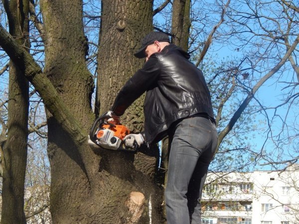 У Луцьку депутати, підприємці та школярі прибирали парк у мікрорайоні ЛПЗ. ФОТО